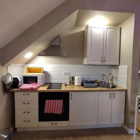 Jelena Копаоник